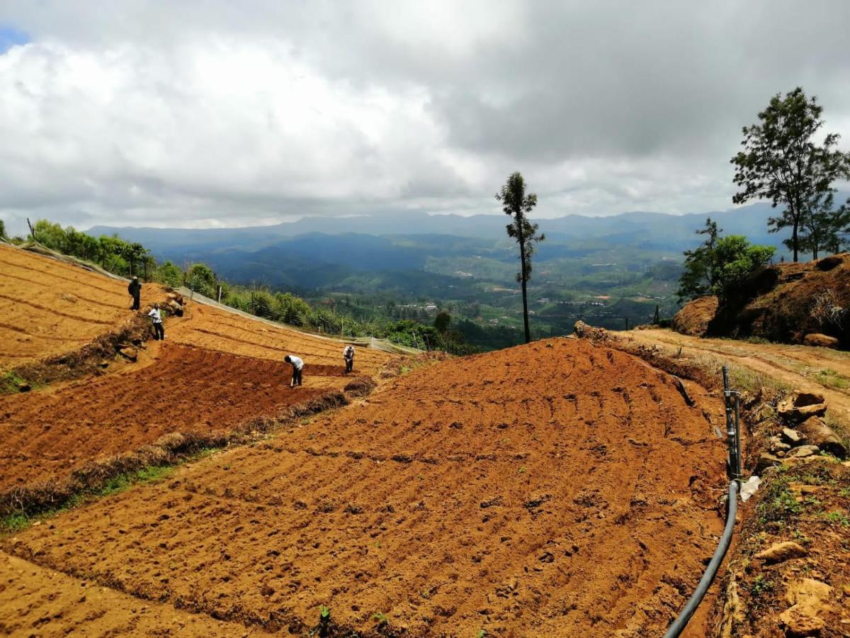 Unique View Nuwaraeliya Hotel Nuwara Eliya Buitenkant foto