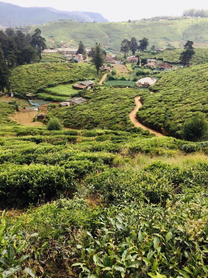 Unique View Nuwaraeliya Hotel Nuwara Eliya Buitenkant foto